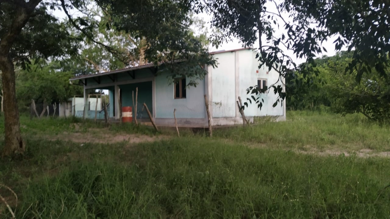 MJ casa mel 03