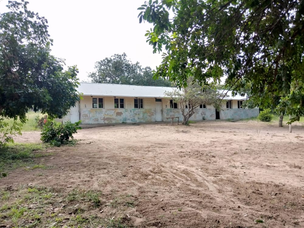 MJ escola 01