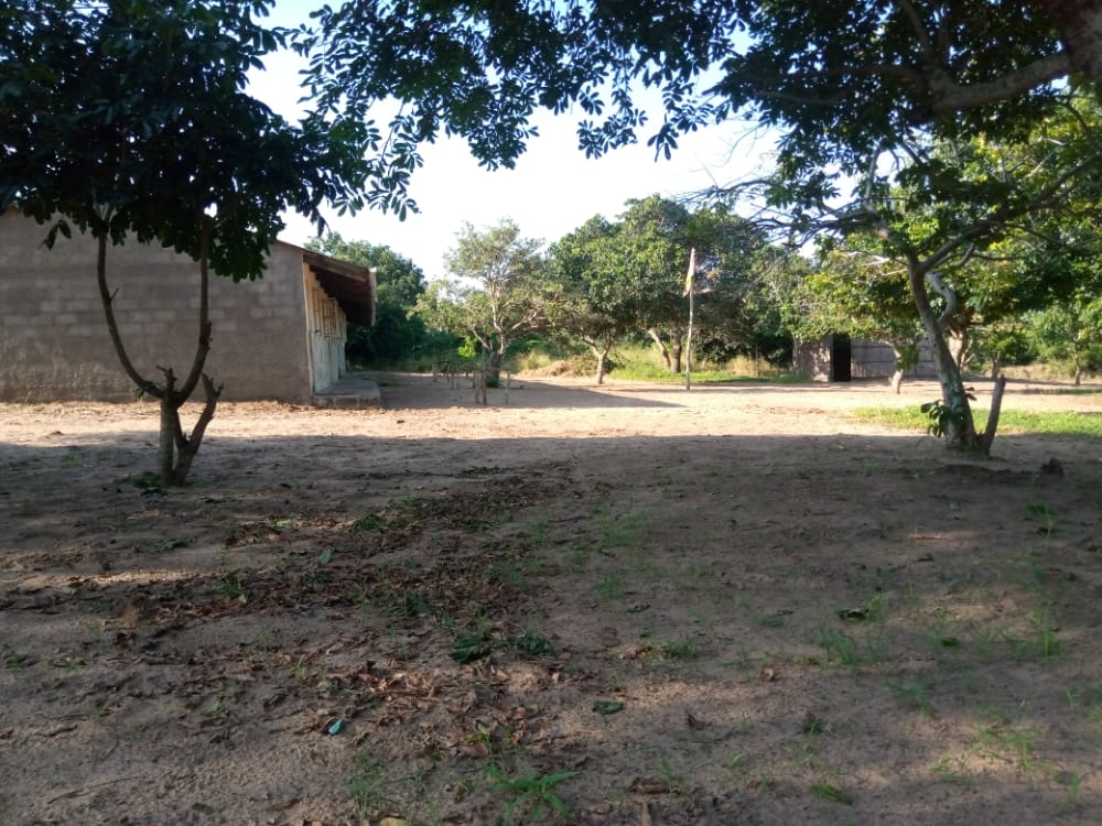 MJ escola 05