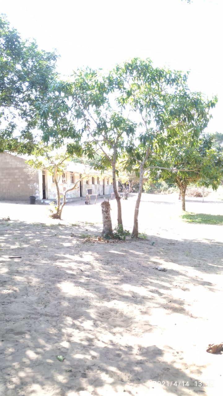 MJ escola 13