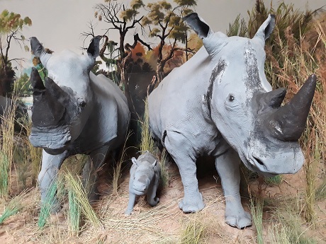 museu maputo 007 460