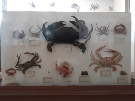 museu maputo 023 460